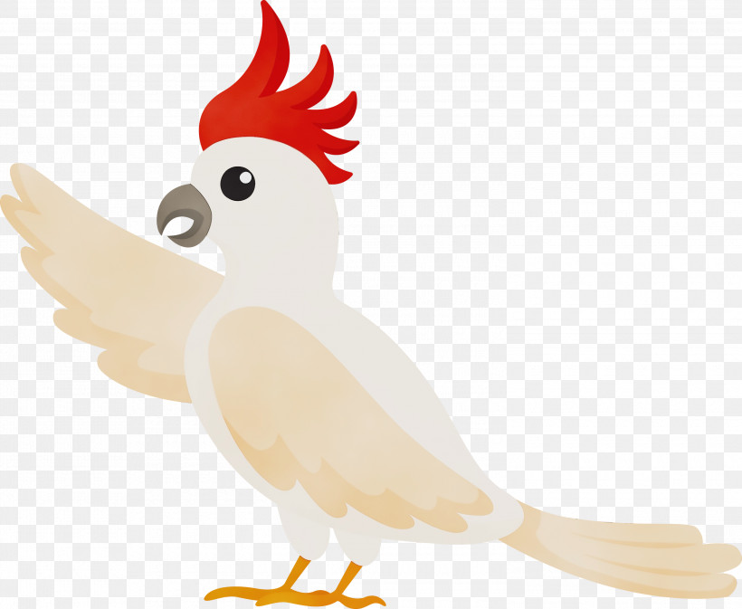 Feather, PNG, 3000x2465px, Bird, Beak, Birds, Cartoon Bird, Character Download Free