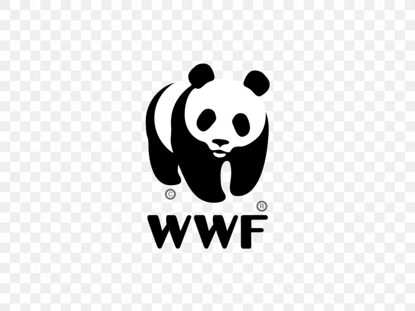 Giant Panda World Wide Fund For Nature International WWF-Australia Endangered Species, PNG, 1024x768px, Giant Panda, Bear, Black, Black And White, Brand Download Free