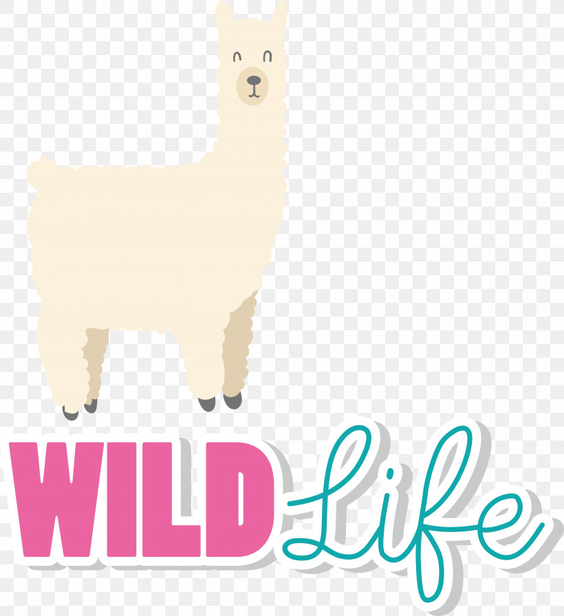 Llama, PNG, 5869x6408px, Llama, Alpaca, Biology, Breed, Dog Download Free