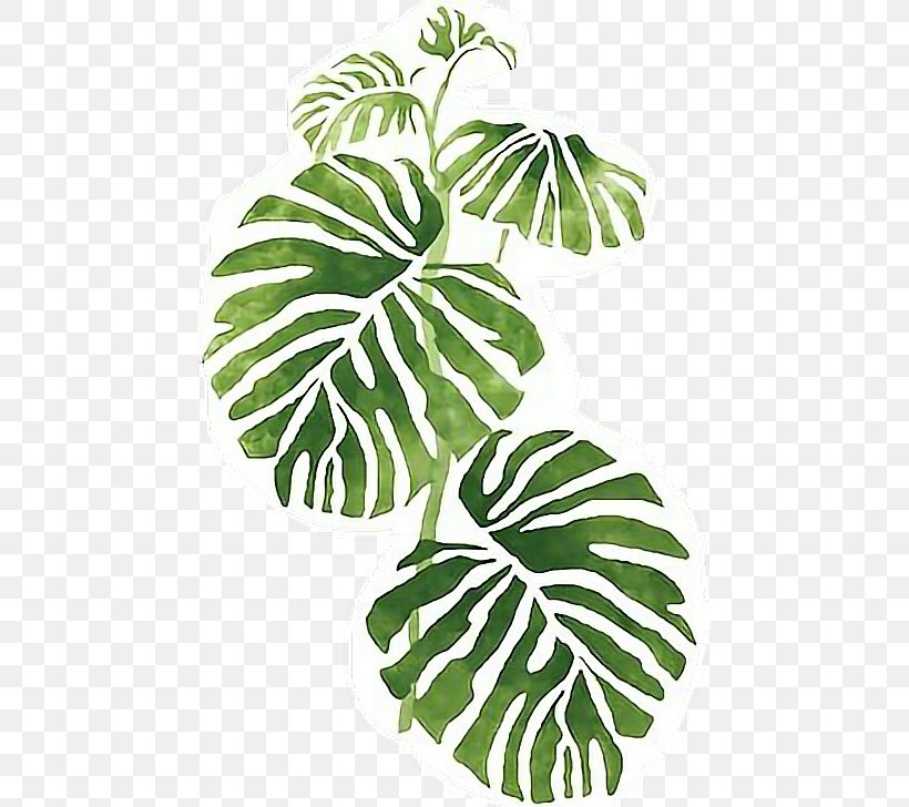 Swiss Cheese Plant Philodendron Wall Stencil Leaf, PNG, 464x728px, Swiss Cheese Plant, Art, Branch, Flora, Flowering Plant Download Free