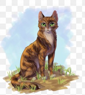 Cat - Tawnypelt Cat Rising Storm Brambleclaw Tigerstar PNG