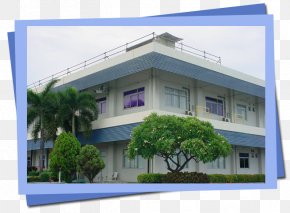 Building - Building Home House Window Facade PNG