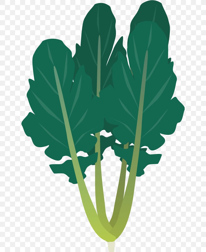 Daikon Leaf Vegetable Carrot, PNG, 650x1000px, Daikon, Brassica Juncea, Carrot, Grass, Green Download Free