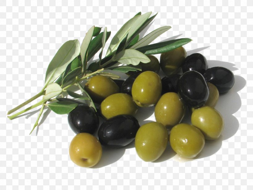Olive Oil Mediterranean Cuisine Lebanese Cuisine, PNG, 1024x768px, Olive, Cooking, Empeltre, Food, Fruit Download Free
