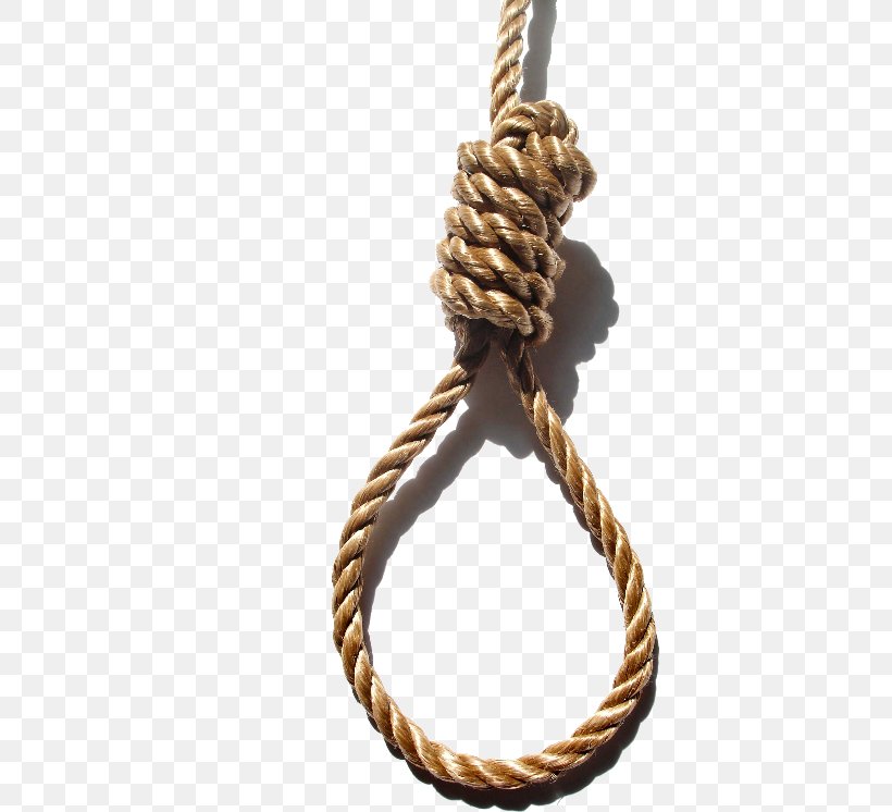 Suicide By Hanging Knot Noose Suicide By Hanging, PNG, 500x746px, Hanging, Capital Punishment, Chain, Charles And Ray Eames, Knot Download Free