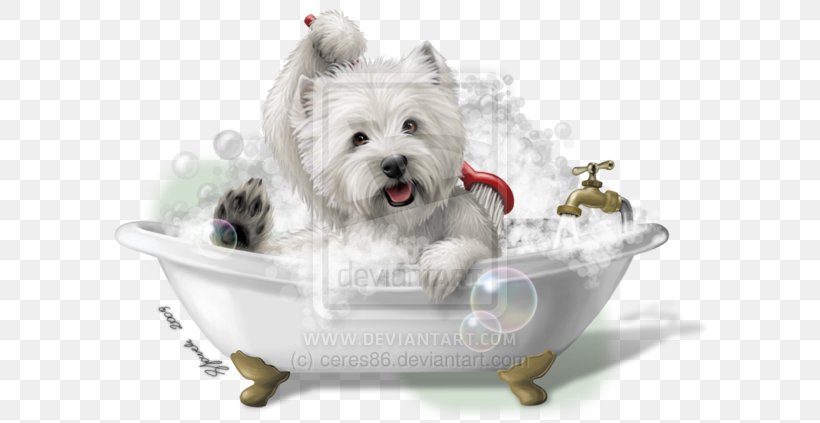 West Highland White Terrier Maltese Dog Puppy Smooth Fox Terrier Dog Breed, PNG, 600x423px, West Highland White Terrier, Breed, Carnivoran, Companion Dog, Dog Download Free