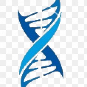 Dna Molecules - DNA Nucleic Acid Double Helix Logo Medicine PNG