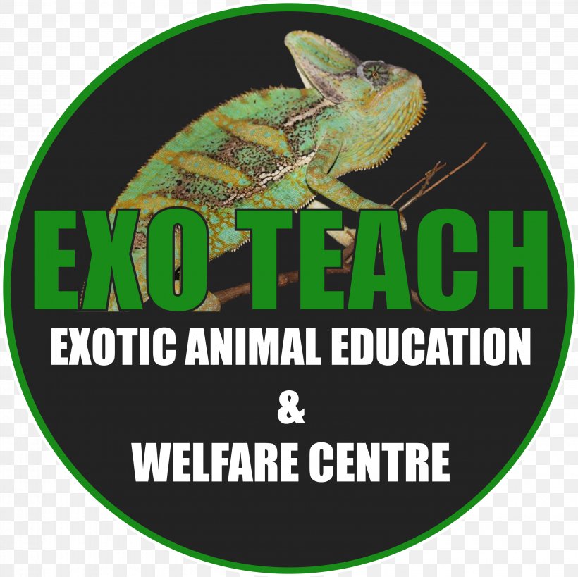 EXO TEACH Education Exotic Pet Exotic Animal Veterinarian Non-profit Organisation, PNG, 3165x3165px, Education, Animal, Animal Welfare, Brand, Exotic Animal Veterinarian Download Free