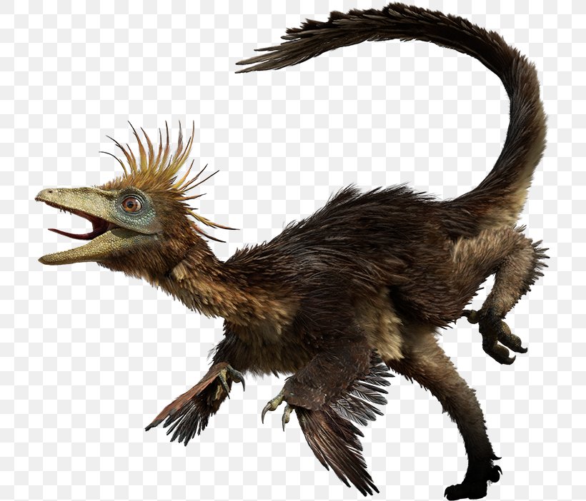 Troodon Late Cretaceous Tyrannosaurus Hesperonychus Dromaeosaurus, PNG, 723x702px, Troodon, Beak, Bird, Campanian, Cretaceous Download Free