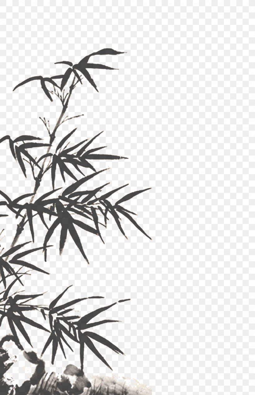 Warring States Period Bamboo Four Lords Of The Warring States, PNG, 1824x2826px, Warring States Period, Bamboo, Black And White, Branch, Coreldraw Download Free