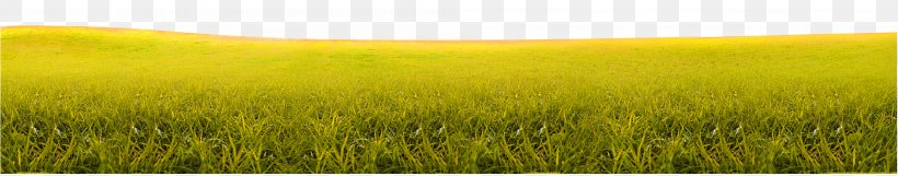 Barley Harvest Grassland Sky Field, PNG, 4006x787px, Barley, Agriculture, Commodity, Crop, Field Download Free