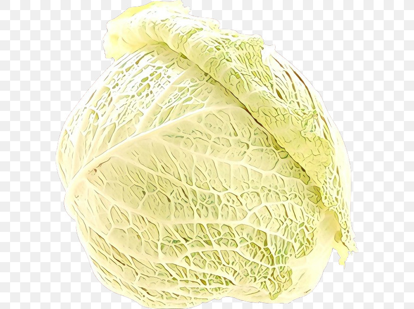 Cabbage Savoy Cabbage Vegetable Wild Cabbage Food, PNG, 600x613px, Cabbage, Chinese Cabbage, Food, Leaf Vegetable, Plant Download Free