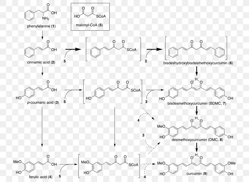 Curcuminoid Turmeric Biosynthesis E100, PNG, 750x600px, Curcumin, Area, Auto Part, Biosynthesis, Black And White Download Free