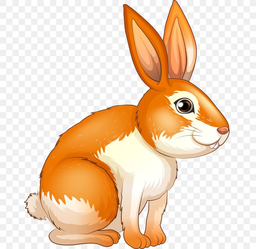 European Rabbit Royalty-free Illustration, PNG, 665x800px, European Rabbit, Cartoon, Domestic Rabbit, Drawing, Easter Bunny Download Free