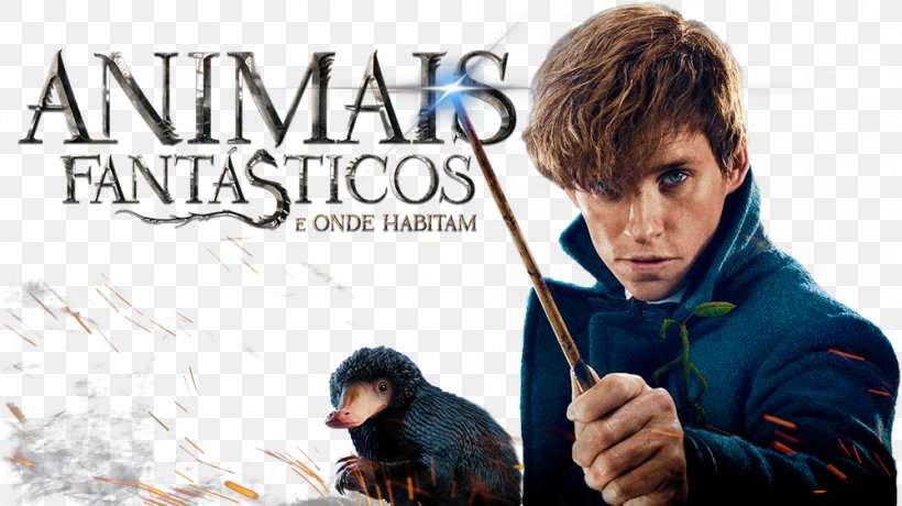 Fantastic Beasts And Where To Find Them Film Series Blu-ray Disc Ultra HD Blu-ray Fantastic Beasts And Where To Find Them Film Series, PNG, 1000x562px, 4k Resolution, 2016, Bluray Disc, Album Cover, Digital Copy Download Free