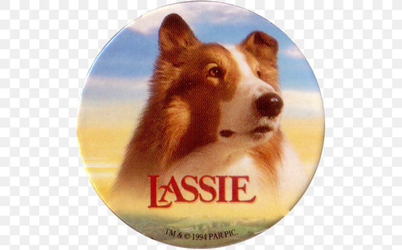 Lassie Come-Home Family Film 0, PNG, 510x510px, 1994, Lassie, Brady Bunch Movie, Collie, Dog Download Free