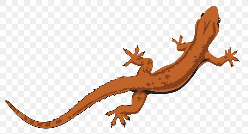 Lizard Salamander Reptile Clip Art Vector Graphics, PNG, 1600x865px, Lizard, Drawing, Fauna, Gecko, Orange Download Free