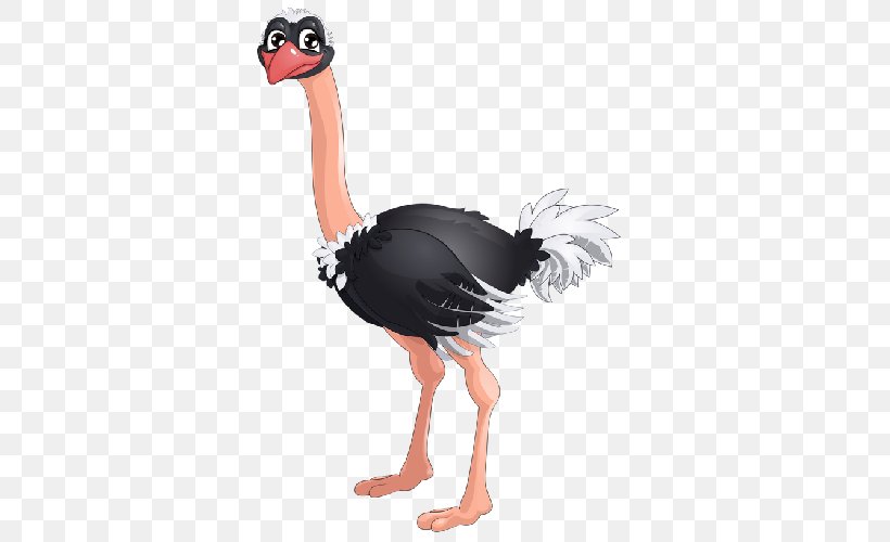 Common Ostrich Drawing Royalty-free Clip Art, PNG, 500x500px, Common Ostrich, Beak, Bird, Cartoon, Drawing Download Free