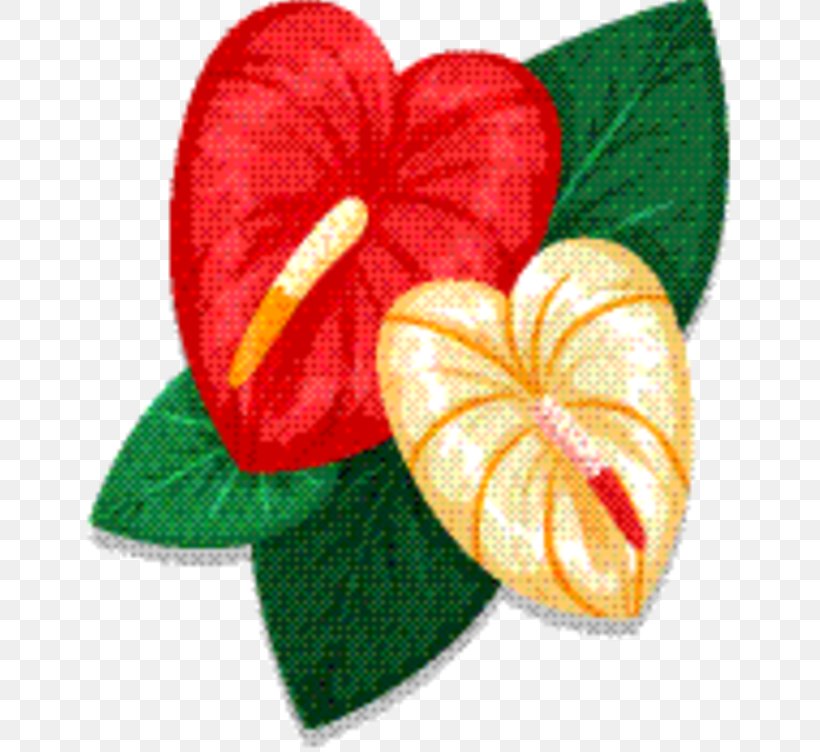 Flower Heart, PNG, 660x752px, Heart, Anthurium, Flower, Leaf, M095 Download Free