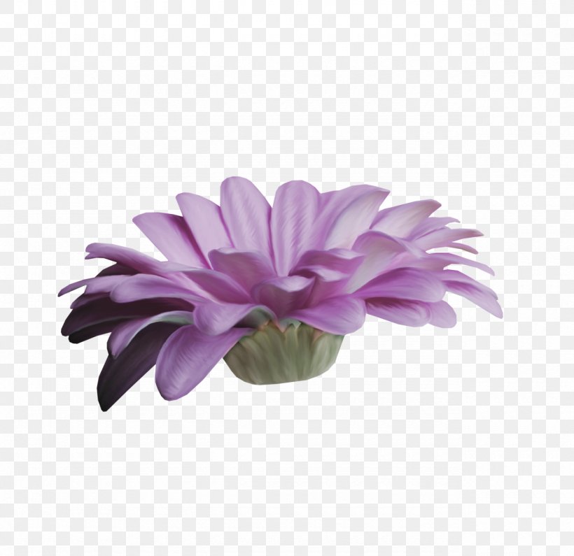 Lavender Lilac Violet Purple Flower, PNG, 1280x1242px, Lavender, Chrysanthemum, Chrysanths, Common Daisy, Daisy Family Download Free