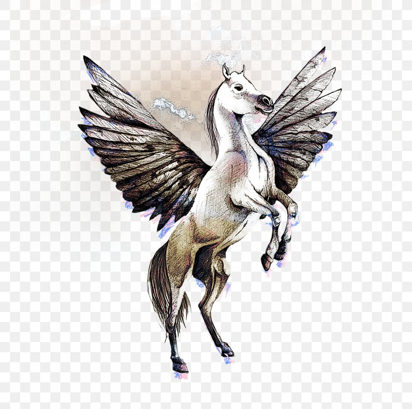 Pegasus Horse Drawing, PNG, 780x813px, Horse, Drawing, Editing, Feather, Fictional Character Download Free