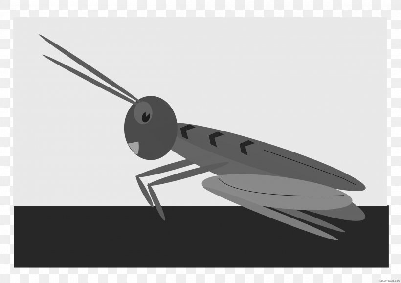 Jiminy Cricket Crickets Chirping Crickets Sound Sound Effect, PNG, 2400x1697px, Jiminy Cricket, Animated Cartoon, Black And White, Cricket, Grasshopper Download Free