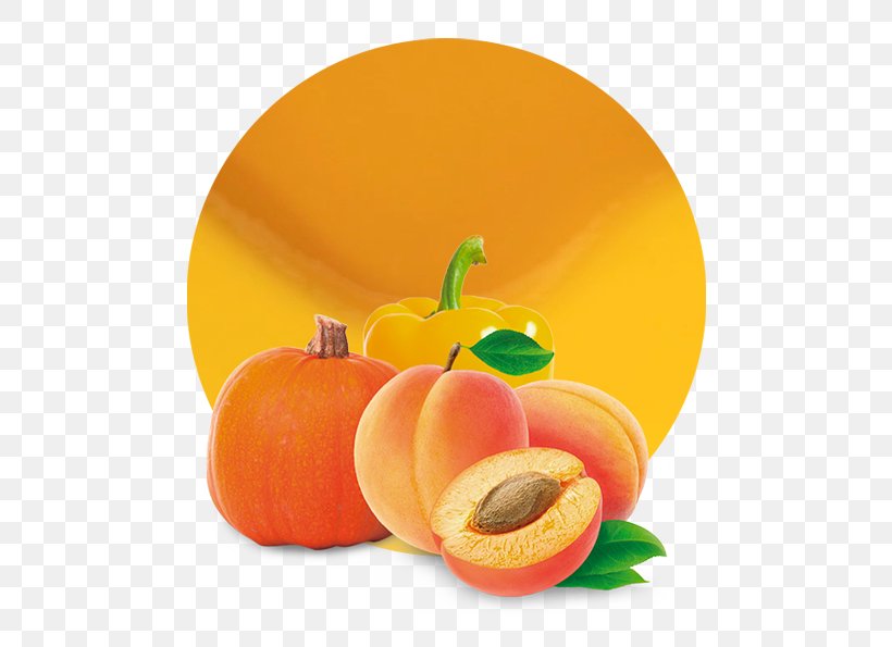 Juice Apricot Fruit Organic Food Flavor, PNG, 536x595px, Juice, Apricot, Calabaza, Cleanser, Concentrate Download Free