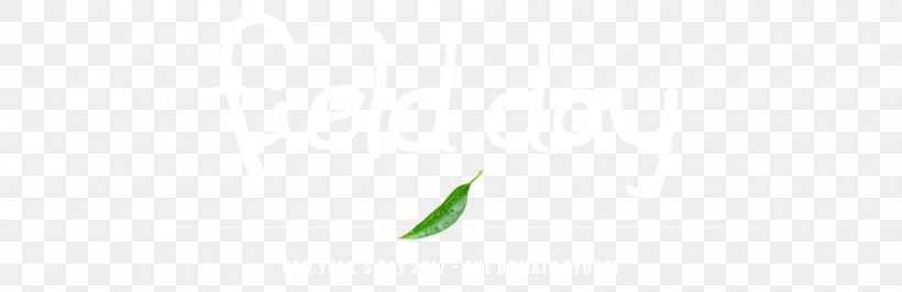 Leaf Close-up Plant Stem Sky Plc Font, PNG, 940x305px, Leaf, Close Up, Closeup, Grass, Green Download Free