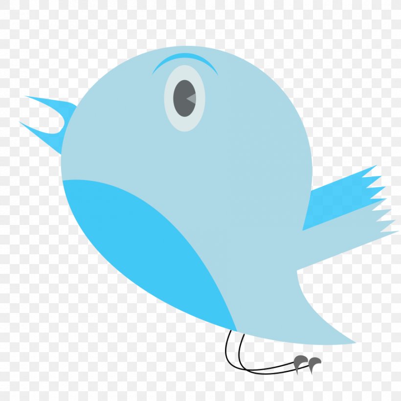 Bird Blue Clip Art, PNG, 900x900px, Bird, Animation, Aqua, Azure, Beak Download Free