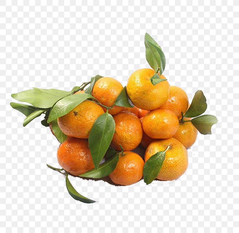 Clementine Mandarin Orange U6c99u7cd6u6a58 Sugar Auglis, PNG, 800x800px, Clementine, Auglis, Bitter Orange, Calamondin, Candy Download Free