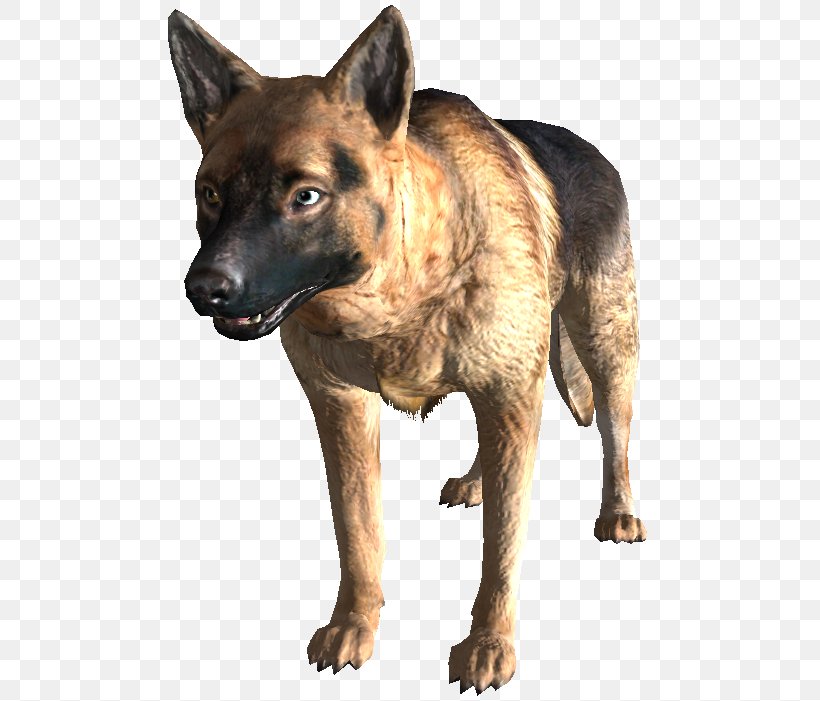 Dog Breed Fallout 3 Fallout 4 Fallout: New Vegas Kunming Wolfdog, PNG, 499x701px, Dog Breed, Carnivoran, Dog, Dog Breed Group, Dog Like Mammal Download Free