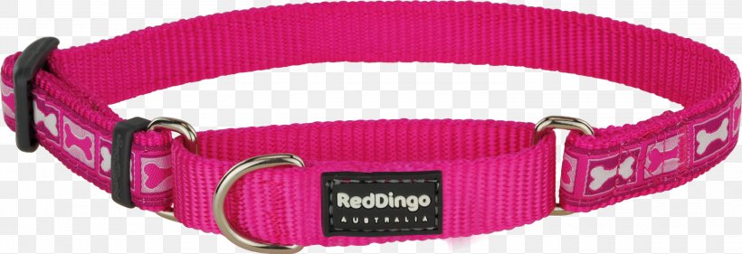 Dog Collar Martingale Dingo, PNG, 3000x1031px, Dog, Bone, Buckle, Choker, Clothing Accessories Download Free