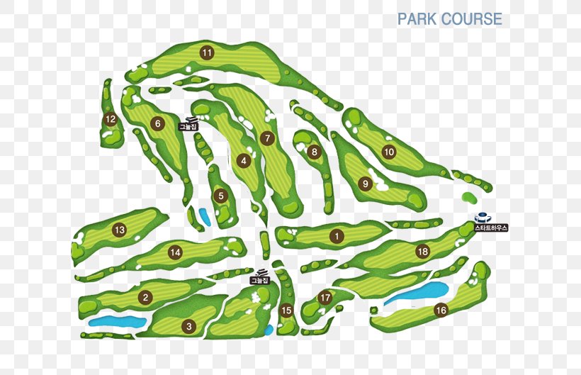 Incheon Seo-gu Office Frog Golf Course Seo-gu Culture & Arts Center, PNG, 647x529px, Frog, Amphibian, Area, Golf, Golf Course Download Free