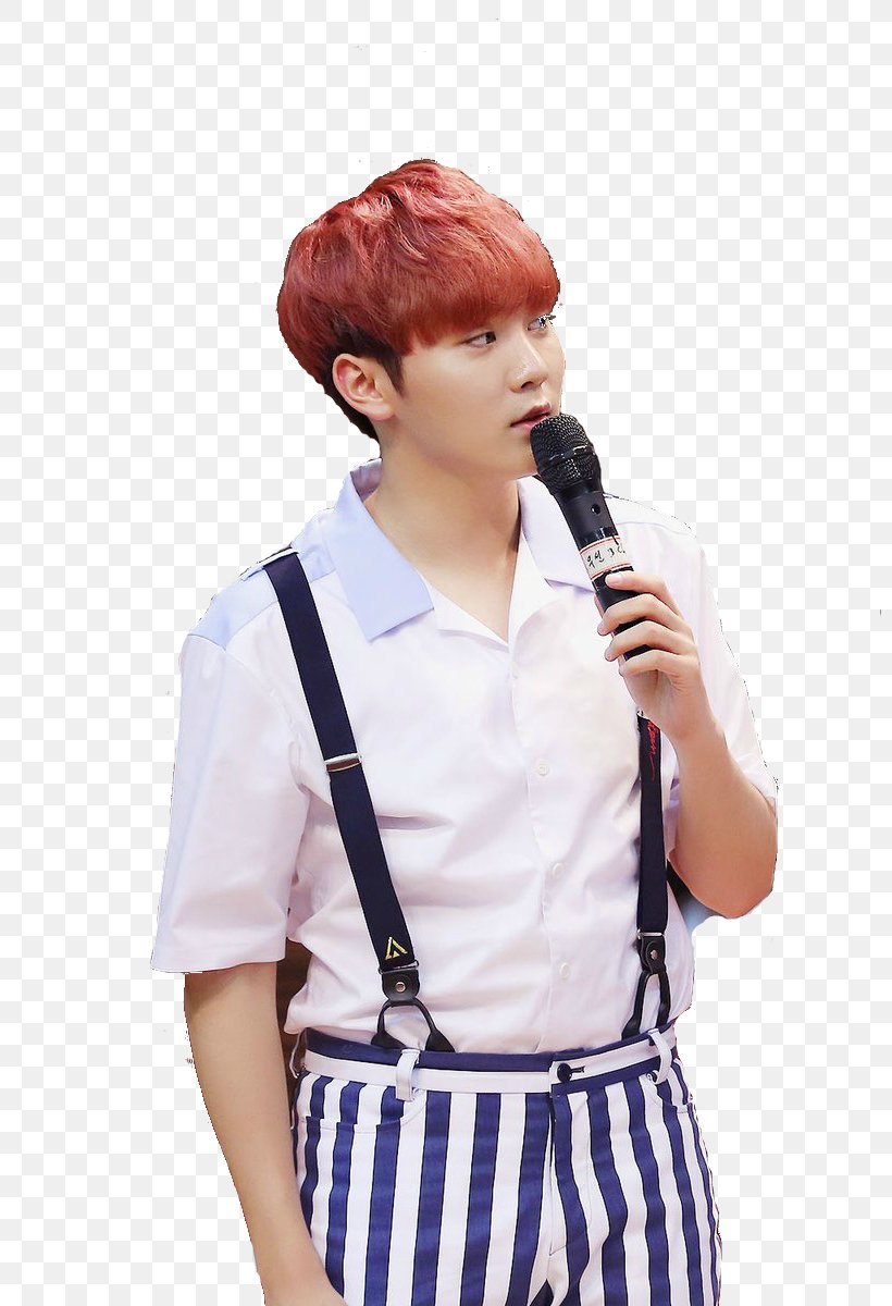 Boo Seungkwan Seventeen Microphone Wig, PNG, 800x1200px, Boo Seungkwan, Audio, Audio Equipment, Costume, Credit Download Free