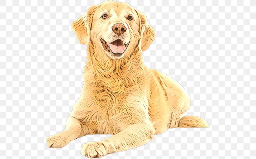 Dog Dog Breed Golden Retriever Retriever Sporting Group, PNG, 525x510px, Cartoon, Companion Dog, Dog, Dog Breed, Golden Retriever Download Free