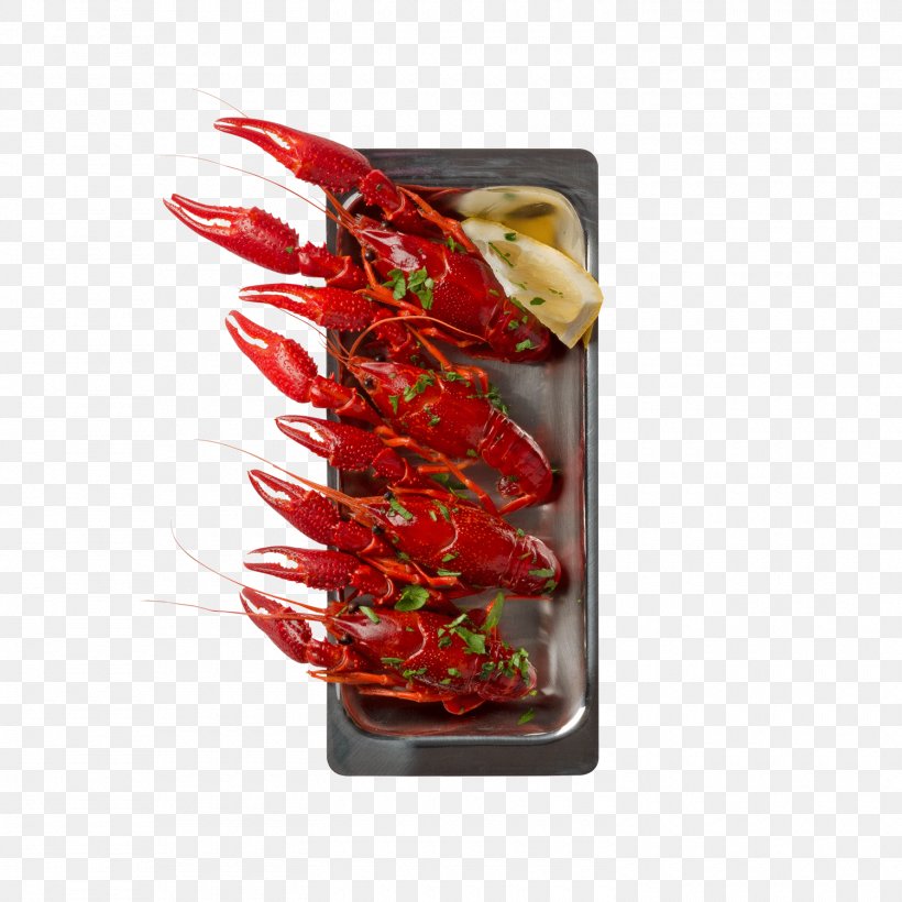 Lobster Congee Seafood Cantonese Cuisine, PNG, 1500x1500px, Lobster, Bell Peppers And Chili Peppers, Cantonese Cuisine, Cayenne Pepper, Chili Pepper Download Free