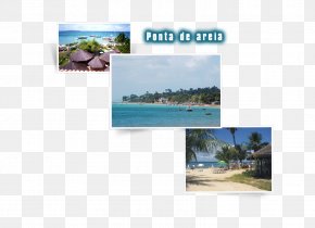 Vacation - Itaparica Property Water Resources Ecosystem Advertising PNG