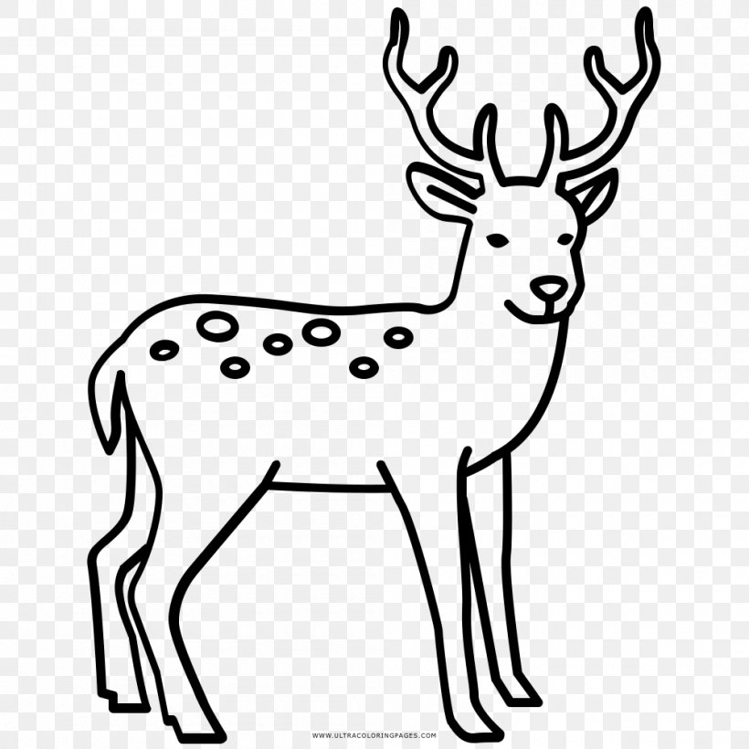 Reindeer Elk Red Deer Coloring Book, PNG, 1000x1000px, Reindeer, Animal, Animal Figure, Antler, Ausmalbild Download Free