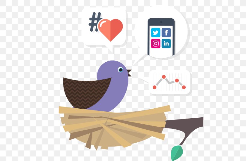 Social Media Social-Media-Manager Public Relations Management, PNG, 537x535px, Social Media, Beak, Bird, Brand, Management Download Free
