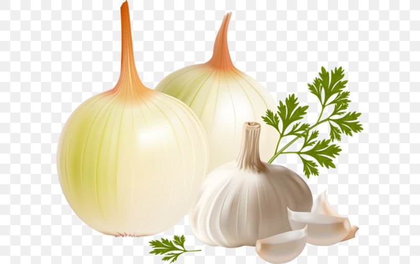 Garlic Onion Vegetable, PNG, 600x516px, Garlic, Capsicum Annuum, Chili Pepper, Clove, Food Download Free