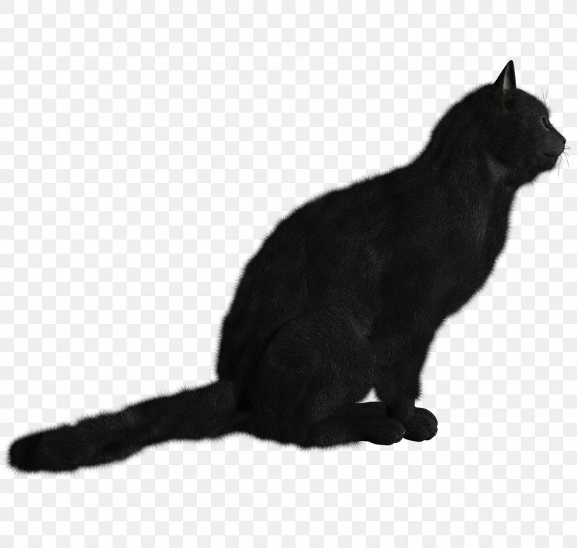 Kitten Persian Cat Desktop Wallpaper Clip Art, PNG, 1600x1520px, Kitten, Black, Black And White, Black Cat, Bombay Download Free