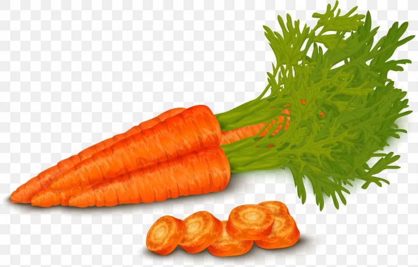 Organic Food Vegetable Carrot Royalty-free, PNG, 1762x1127px, Organic Food, Baby Carrot, Carrot, Diet Food, Drawing Download Free
