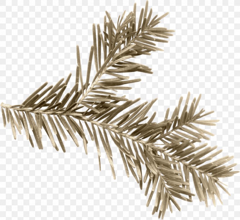 Pine Needles, PNG, 936x857px, Pine, Branch, Christmas Ornament, Conifer, Data Download Free
