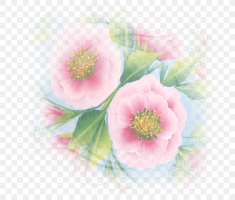 Watercolor Painting Flower Floral Design, PNG, 700x700px, Watercolor Painting, Blossom, Centifolia Roses, Floral Design, Flower Download Free