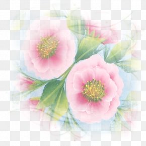 Flower - Watercolor Painting Flower Floral Design PNG