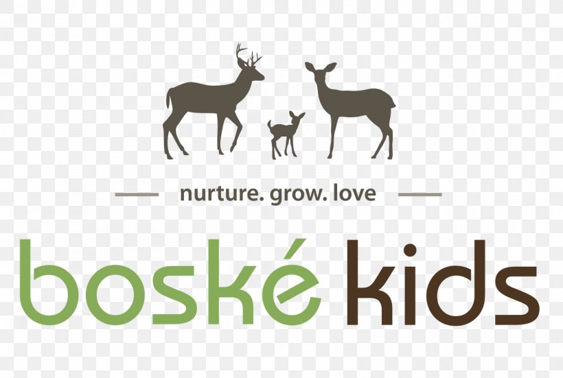 Children's Clothing Brand Management, PNG, 1600x1077px, Clothing, Antelope, Antler, Brand, Business Download Free