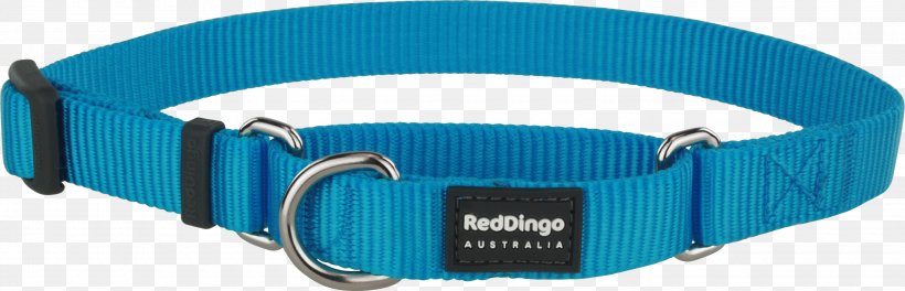 Dog Collar Dingo Martingale, PNG, 3000x969px, Dog, Aqua, Azure, Blue, Collar Download Free