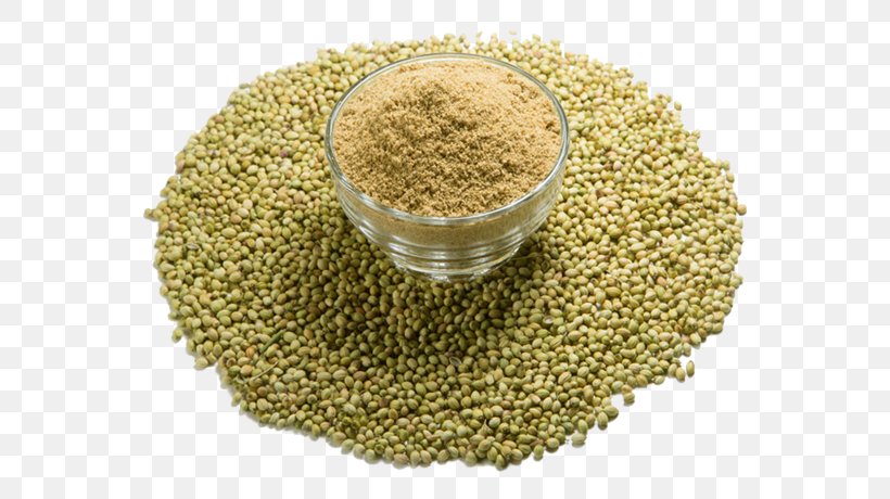 Seasoning Indian Cuisine Coriander Masala Flavor, PNG, 558x460px, Seasoning, Bean, Cereal, Cereal Germ, Chili Pepper Download Free