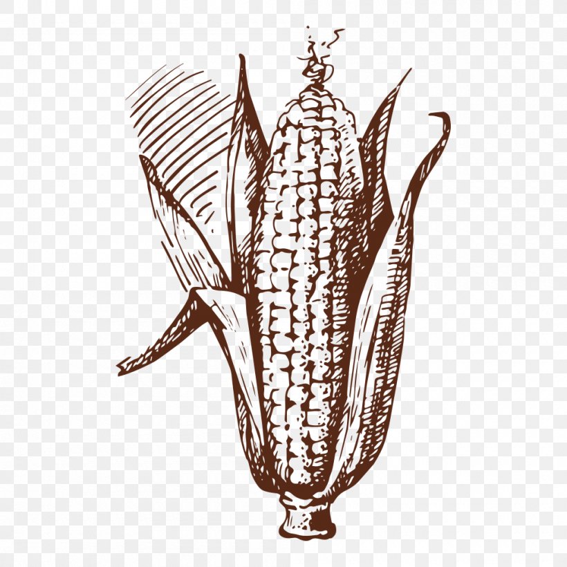 Drawing Vegetable Food Illustration, PNG, 1000x1000px, Drawing, Corncob, Food, Maize, Organism Download Free