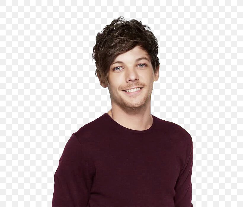 Louis Tomlinson Just Hold On One Direction Desktop Wallpaper, PNG, 500x700px, Watercolor, Cartoon, Flower, Frame, Heart Download Free
